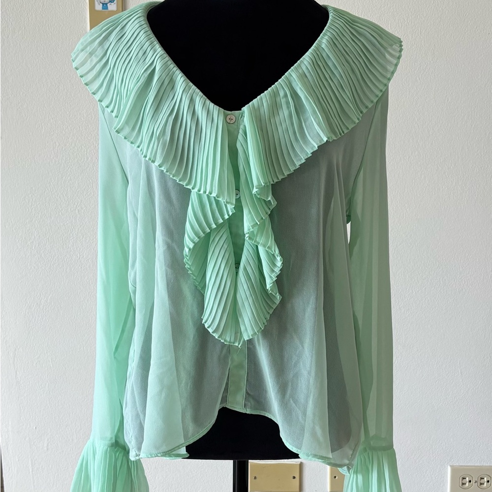 Zara Mint Green Pleated Ruffle Sheer Blouse